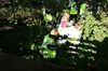 gal/Ville_Propre/_thb_OPERATION DECHETS LAMBRES 060.JPG